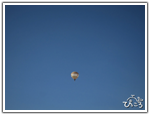 青空に映える熱気球