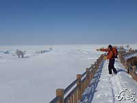 冬の知床五湖はどこに湖があるかわからないほど一面の雪景色。遠くには流氷も見えます。