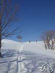 スキーとスノーシューのあいのこ「スキーシュー」。かかとが上がるので歩きやすいのですが、滑るのは至難の業。
