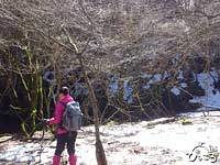 2月に降った雪がまだ残る登山道。