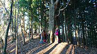黒岳の自然杉群落：樹齢400年と言われる天然杉の群落があり、裾野市の天然記念物に指定されています。